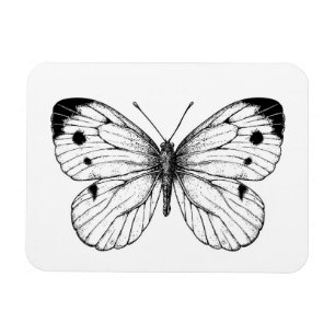 Cabinebutteraar Magneet