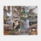 Câble de 50 po x 60 po - couverture en laiton moye (Devant (Horizontal))