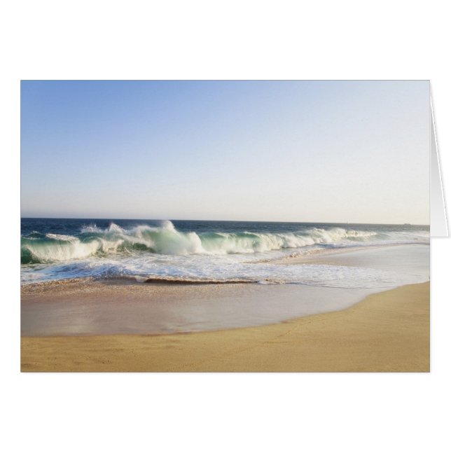 Cabo San Lucas, Baja California Sur, Mexico - (Voorkant Horizontaal)