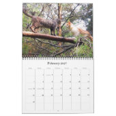 Caboodle Calendar 2011 Kalender (Feb 2027)
