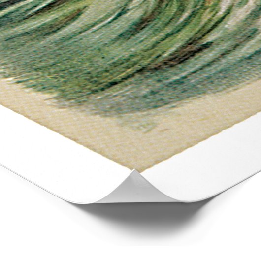 Cabourg Paris Frankrijk Poster (Hoek)