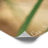 Cacade de Violet Hued Spiderwort Poster (Coin)