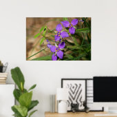 Cacade de Violet Hued Spiderwort Poster (Bureau à domicile)