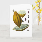 Cacaoboon illustratiekaart kaart (Gele Bloem)