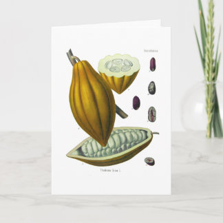 Cacaoboon illustratiekaart kaart