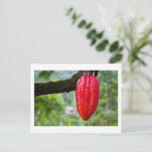 cacaodraden rood briefkaart (Staand voorkant)