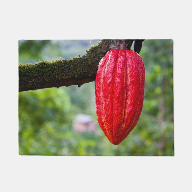 cacaodraden rood deurmat (Voorkant)