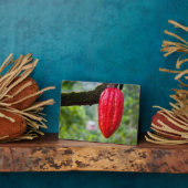 cacaodraden rood fotoplaat (Zijkant)