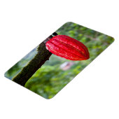 cacaodraden rood magneet (Linkerzijde)