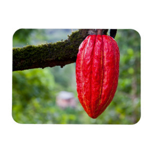 cacaodraden rood magneet