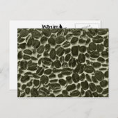 cacaokoffiebonen briefkaart (Voorkant / Achterkant)