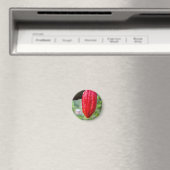 cacaopeul rood magneet (Insitu (Vaatwasser))