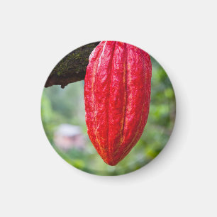 cacaopeul rood magneet