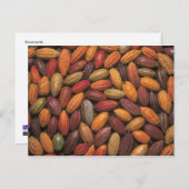 Cacaopulaten Briefkaart (Voorkant / Achterkant)