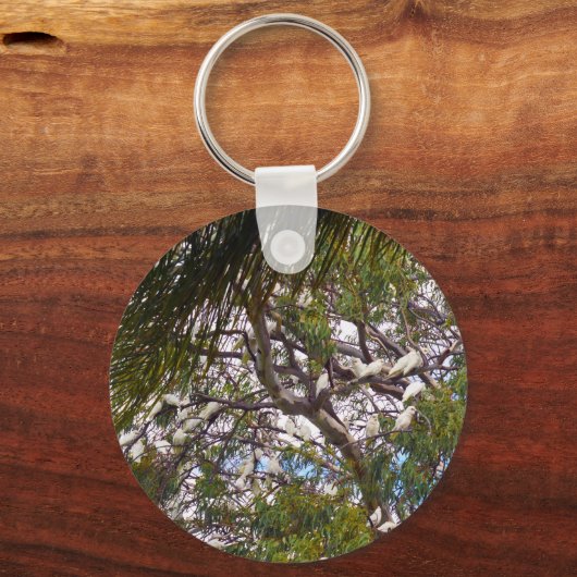 Cacatoès australiens au repos, porte-clés (Recto)