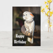 Cacatoès de Moluquois de carte de joyeux (Fleur jaune)