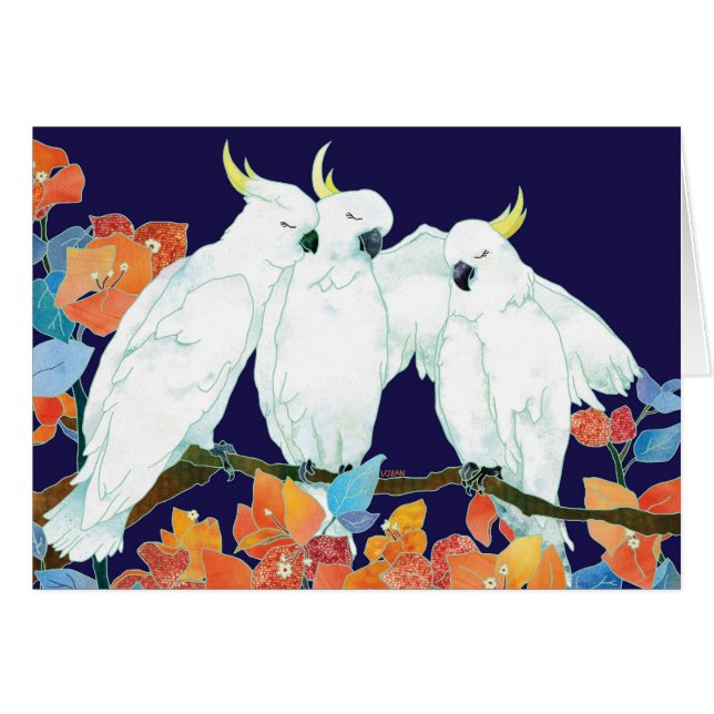 Cacatoès et bouganvillée (Devant Horizontal)