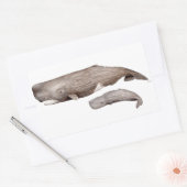 Cachalote, madre y cría rechthoekige sticker (Envelop)