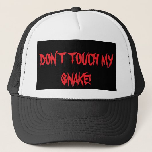CACHÉ CASQUETTE SNAKE - CASQUETTE BALL (Devant)