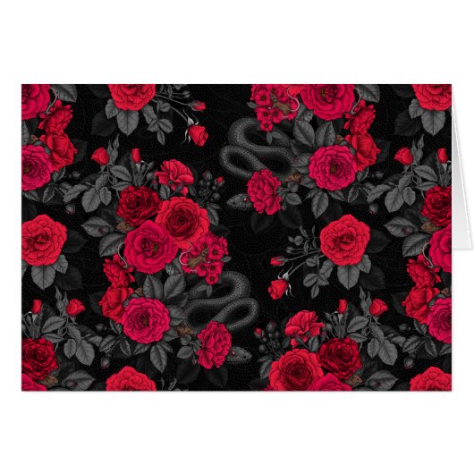 Caché en rose (Devant horizontal)