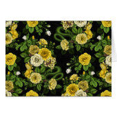 Caché en rose, jaune et vert (Devant horizontal)