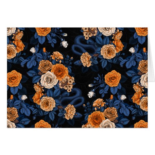 Caché en rose, orange et bleu (Devant horizontal)