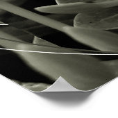 CAcho de Botões Poster (Hoek)