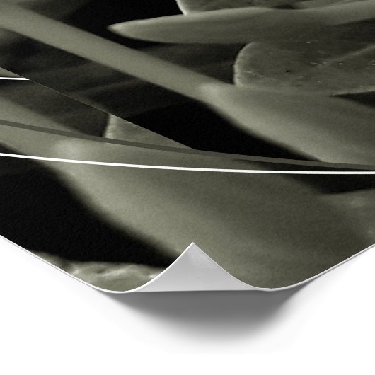 CAcho de Botões Poster (Hoek)