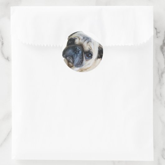 Cachorro Ronde Sticker (Tas)