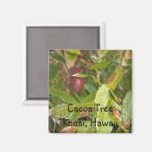 Cacoaboom in Hawaii Magneet (Voorkant / Achterkant)