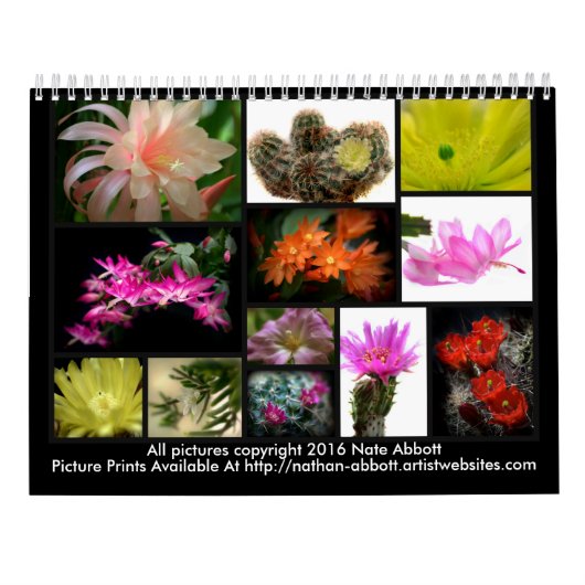 Cacti Flowers Kalender (Achterkant)