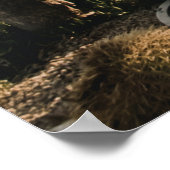 CACTI HILL POSTER (Hoek)