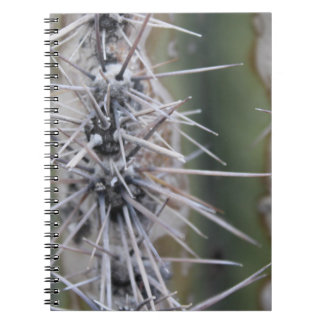 Cacti-laptop Notitieboek