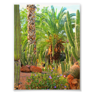 Cacti, Palms en Flowers - Foto's (5 x 7) Foto Afdruk