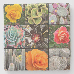Cacti Roos Bloemen Fotografie Collage Modern Bold Stenen Onderzetter