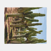 Cacti tuin. Groene hoge cactussen en succulturen g Fleece Deken (Voorkant (Horizontaal))
