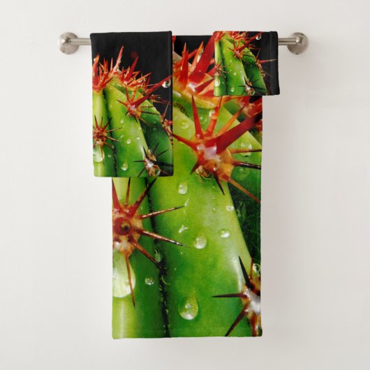Cactus (En situation)