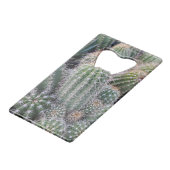 Cactus (Dos Angle)