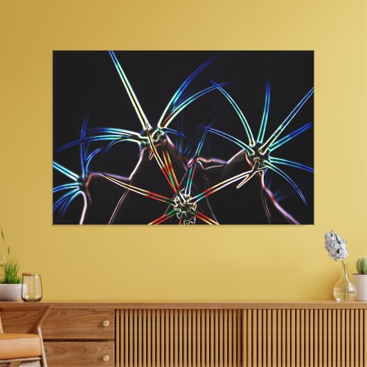 Cactus 1 60x40 (150x100cm) waccna canvas afdruk (Insitu (Woonkamer))
