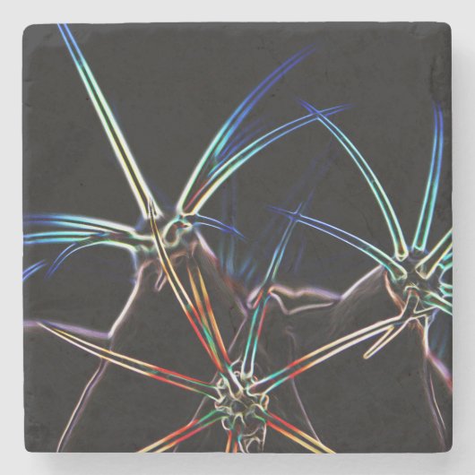 Cactus 1 coasterm stenen onderzetter (Voorkant)