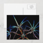 Cactus 1 pccna briefkaart (Voorkant / Achterkant)