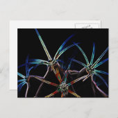 Cactus 1 pccnm briefkaart (Voorkant / Achterkant)