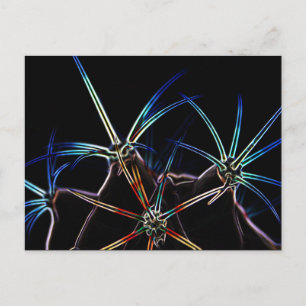 Cactus 1 pccnm briefkaart