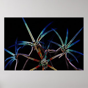 Cactus 1-wapen poster