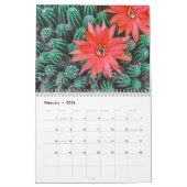 Cactus 2025 kalender (Feb 2026)