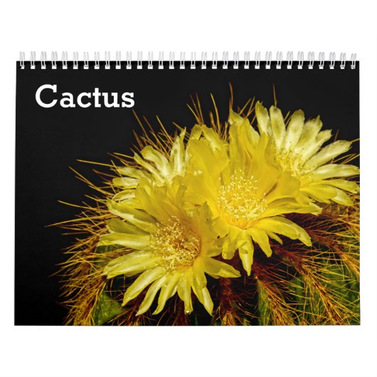 Cactus 2025 kalender (Hoes)