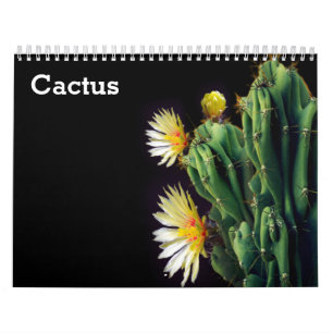 Cactus 2025 kalender