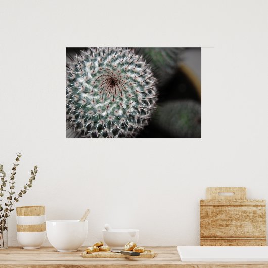 cactus (3) poster (Keuken)