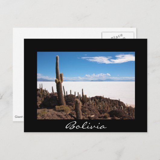 Cactus à la carte postale frontière noire Salar de (Devant / Derrière)