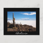 Cactus à la carte postale frontière noire Salar de (Devant)